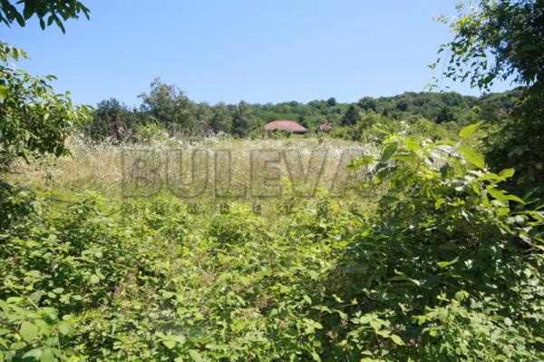 Slika 2 - Gabrovac Građevinsko zemljište na prodaju, Gabrovac, 28.000€