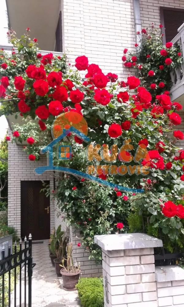 Glavna slika oglasa 133772