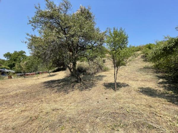 Slika 2 -  Plac na prodaju, Rakovac, , 90.000€