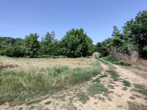Slika 3 -  Plac na prodaju, Paragovo, , 480.000€