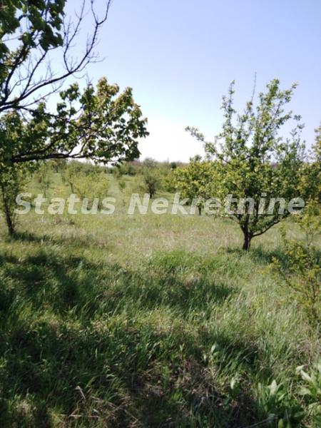 Slika 2 -  Plac na prodaju, Petrovaradin, , 240.600€