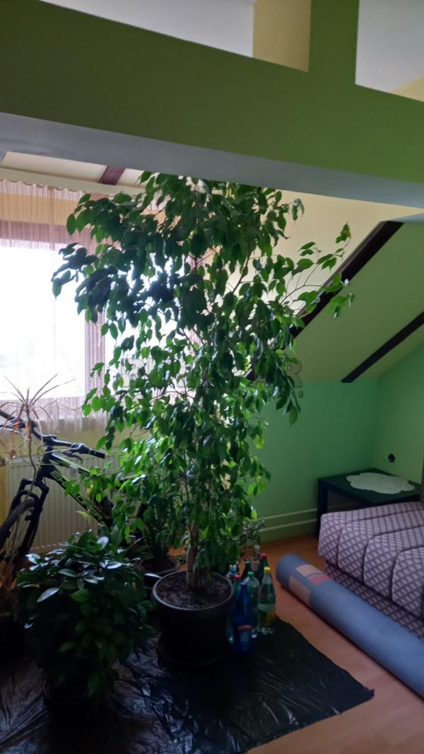 Slika 6 - Krfska, Trosoban stan na prodaju, 80m2, 75.000€