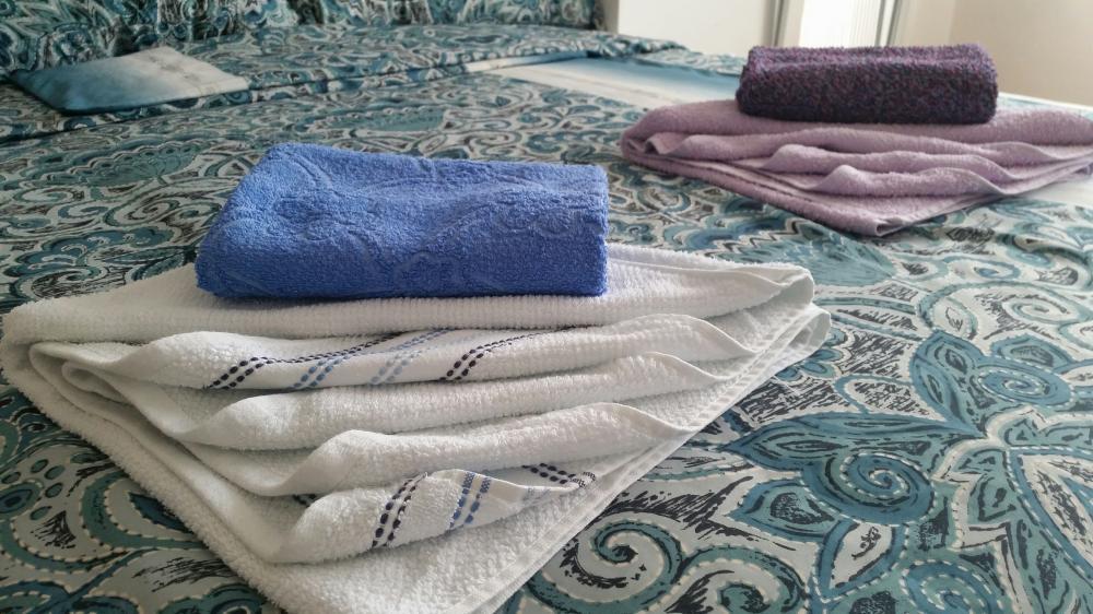 Glavna slika -Knjaževačka 107, Jednosoban stan za izdavanje, 37m2, 20€