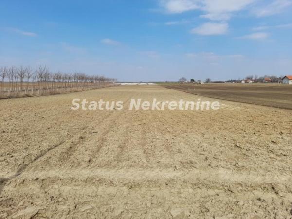 Slika 1 -  Plac na prodaju, Futog, , 50.500€