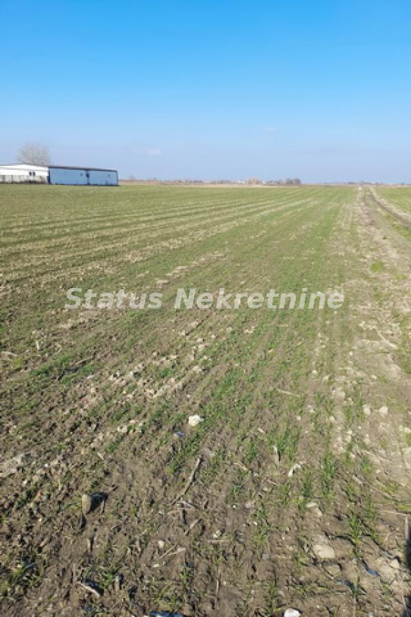 Glavna slika - Plac na prodaju, Futog, , 133.000€