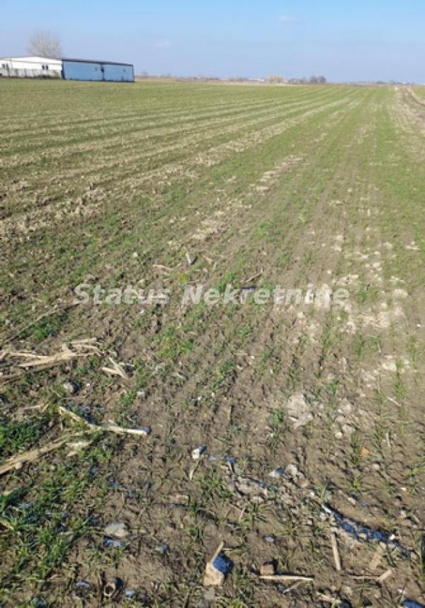 Slika 5 -  Plac na prodaju, Futog, , 133.000€