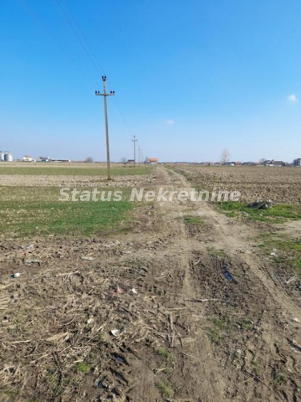 Slika 4 -  Plac na prodaju, Futog, , 133.000€