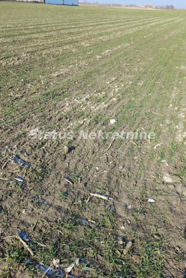 Slika 1 -  Plac na prodaju, Futog, , 133.000€