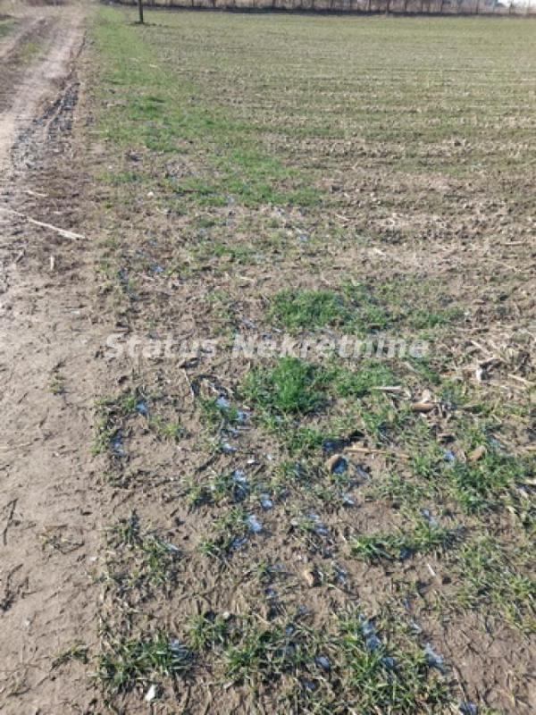 Slika 6 -  Plac na prodaju, Futog, , 133.000€