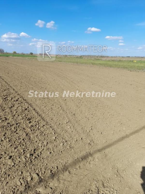 Slika 4 -  Plac na prodaju, Futog, , 118.700€