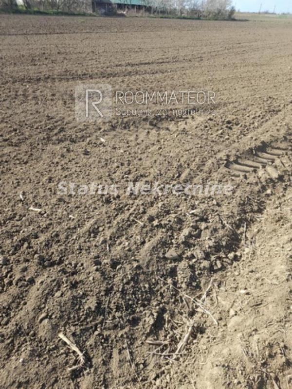 Slika 2 -  Plac na prodaju, Futog, , 118.700€