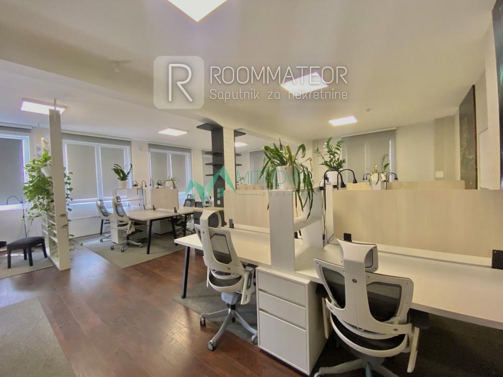 Slika 5 -  Lokal za izdavanje, 300m2, 3.800€