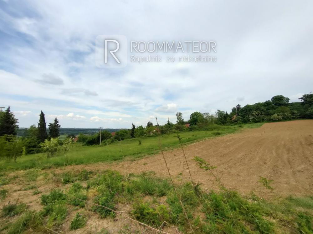 Glavna slika - Plac na prodaju, Ledinci, , 385.000€