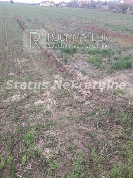 Slika 9 -  Plac na prodaju, Futog, , 56.700€