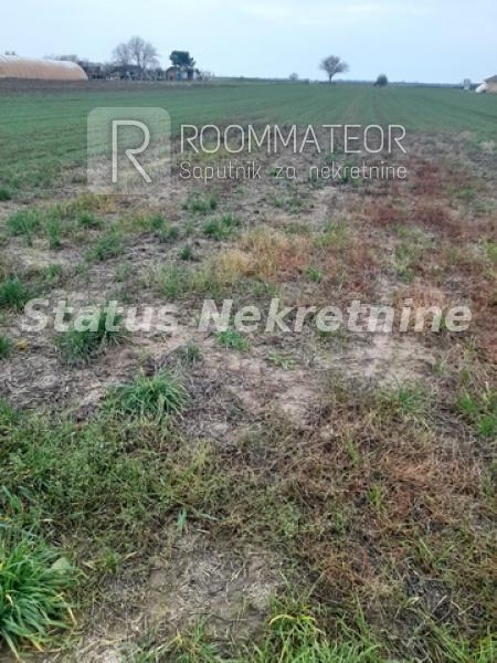 Slika 5 -  Plac na prodaju, Futog, , 56.700€