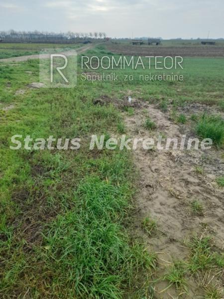 Slika 6 -  Plac na prodaju, Futog, , 56.700€