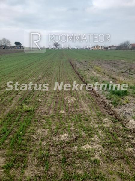 Slika 8 -  Plac na prodaju, Futog, , 56.700€