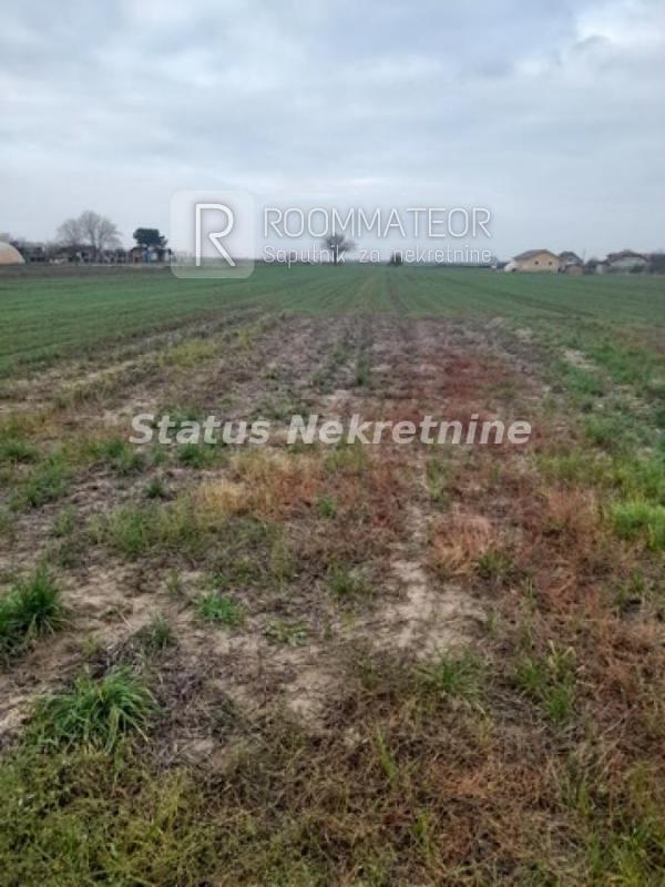 Slika 1 -  Plac na prodaju, Futog, , 56.500€