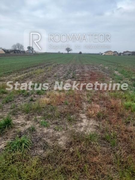 Slika 7 -  Plac na prodaju, Futog, , 56.500€