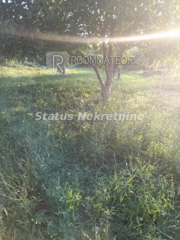 Glavna slika - Plac na prodaju, Begeč, , 59.800€