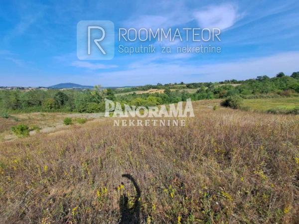 Glavna slika -Put za Žuti breg Poljoprivredno zemljište na prodaju, Voždovac, Ripanj, 20.500€