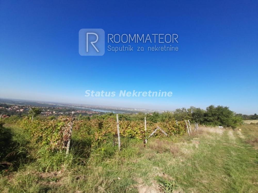 Slika 5 -  Plac na prodaju, Ledinci, , 2.591.000€