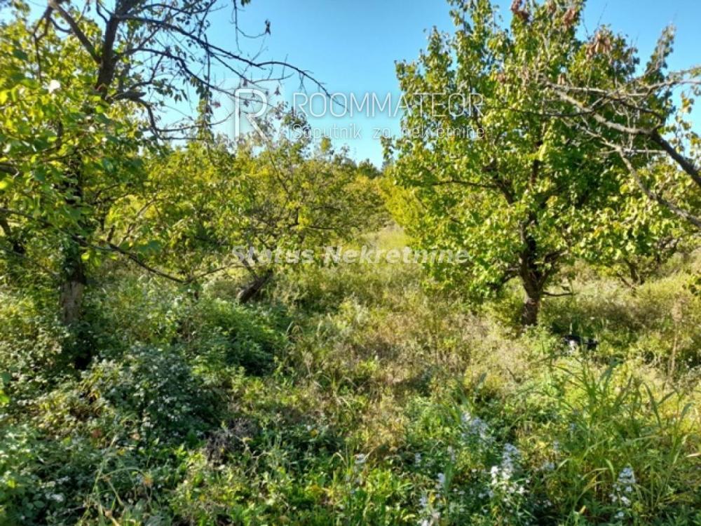 Glavna slika - Plac na prodaju, Ledinci, , 1.220.650€