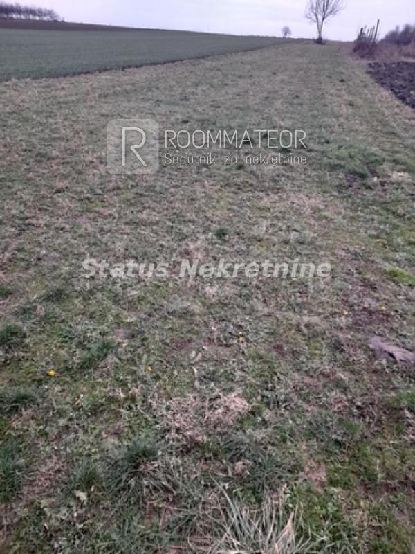 Slika 4 -  Plac na prodaju, Futog, , 190.000€