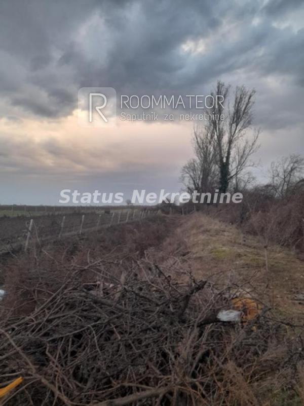 Slika 11 -  Plac na prodaju, Futog, , 190.000€