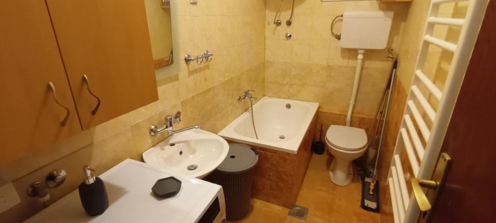 Slika 7 - Partizanski bok ul3, Jednoiposoban stan za izdavanje, 44m2, 350€