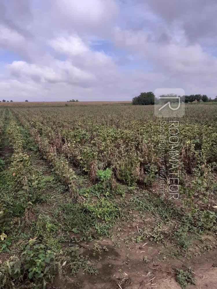 Slika 3 - Vojvođanska ulica Plac na prodaju, Kisač, 28.000€