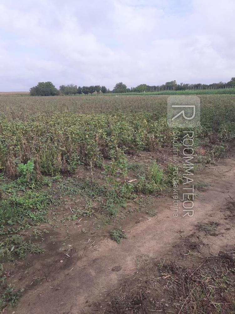 Slika 4 - Vojvođanska ulica Plac na prodaju, Kisač, 28.000€