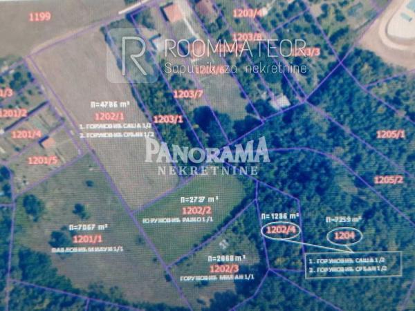 Slika 2 - Stamenke Čarapić Plac na prodaju, Barajevo, Glumčevo Brdo, 70.000€