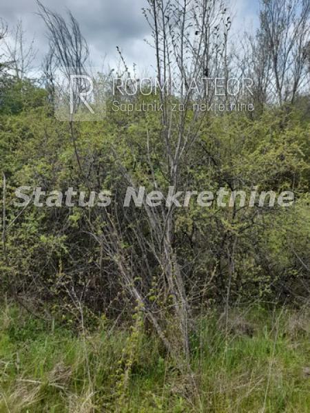 Slika 6 -  Plac na prodaju, Ledinci, , 33.000€