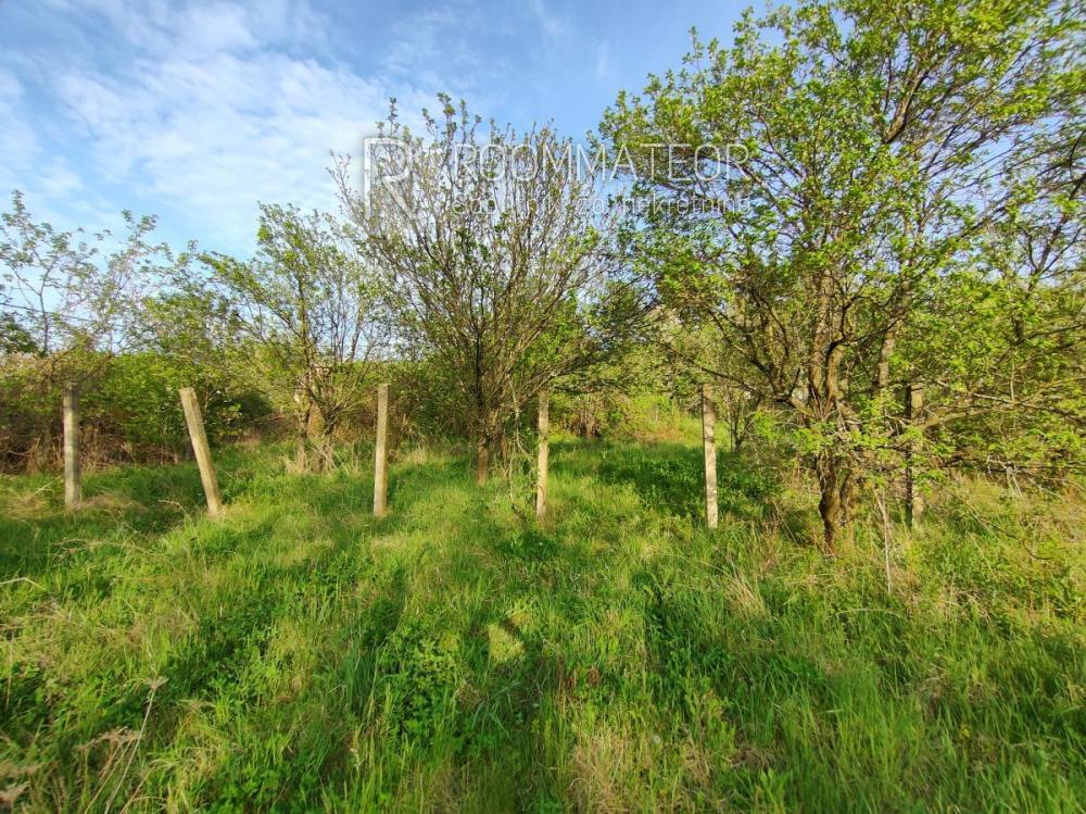 Slika 4 -  Plac na prodaju, Sremska kamenica - Popovica, , 99.990€