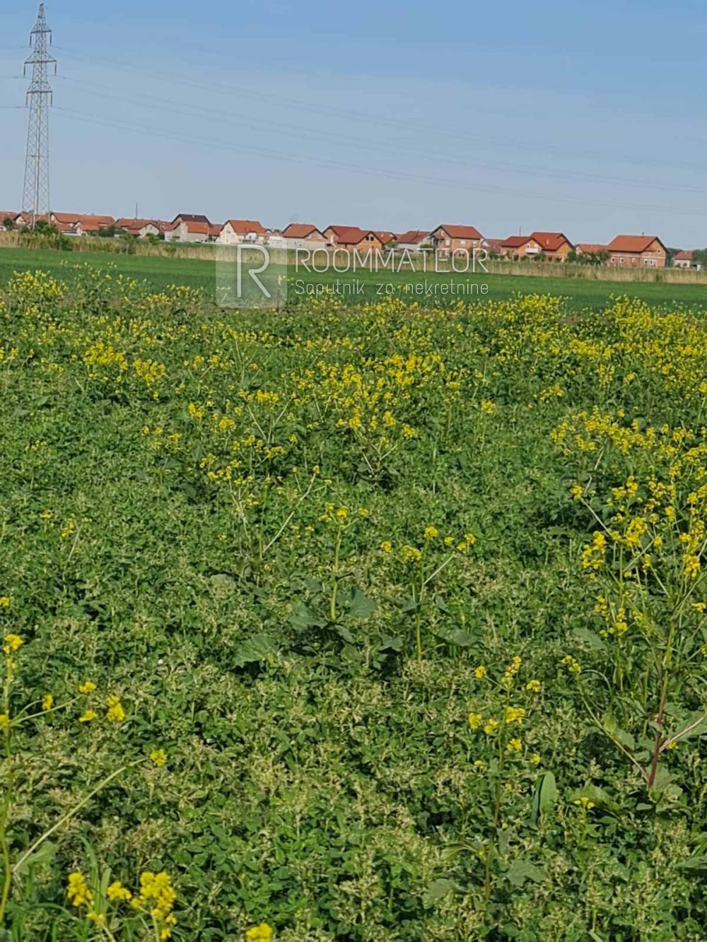 Slika 1 - Male međe Plac na prodaju, Batajnica, 10€