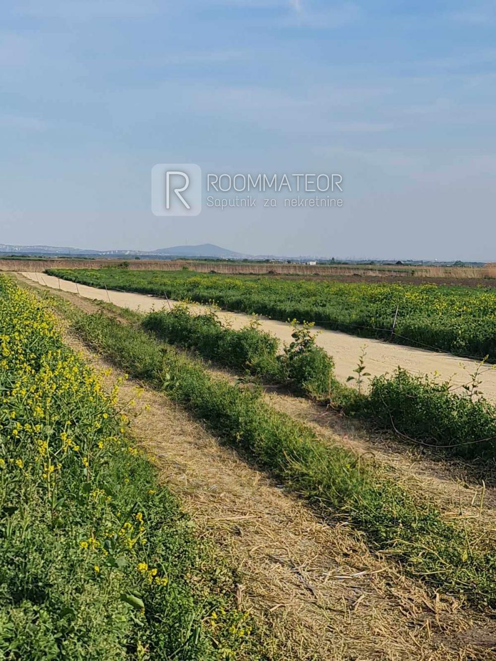 Slika 4 - Male međe Plac na prodaju, Batajnica, 10€