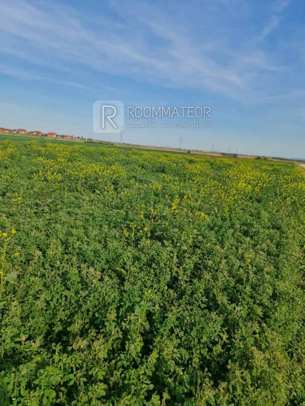 Glavna slika -Male međe Plac na prodaju, Batajnica, 10€