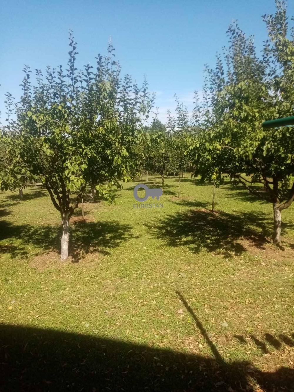 Slika 6 - Branislava Jovanovića,  Kuća na prodaju, 249m2, 270.000€