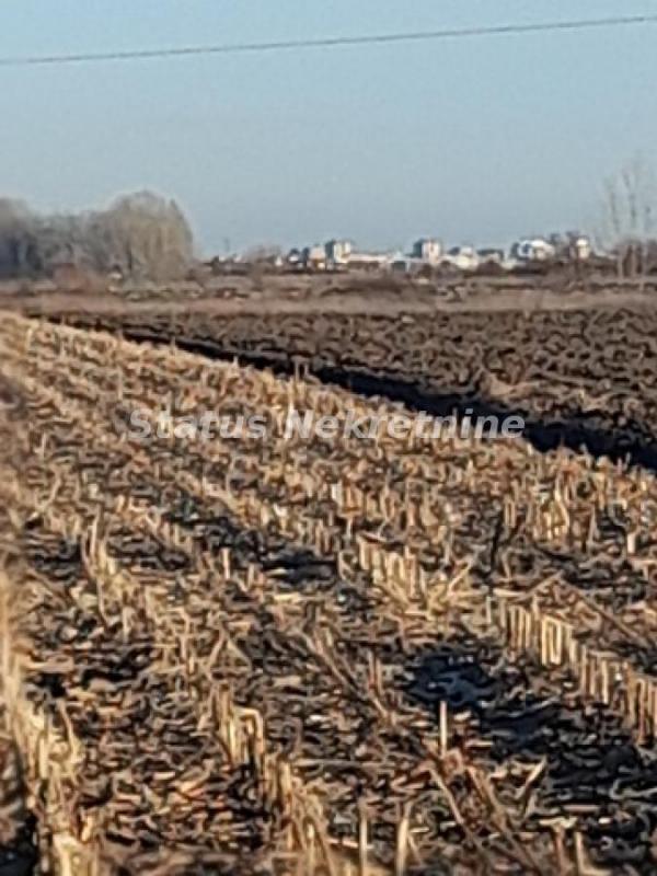 Slika 6 -  Plac na prodaju, Futog, , 498.500€