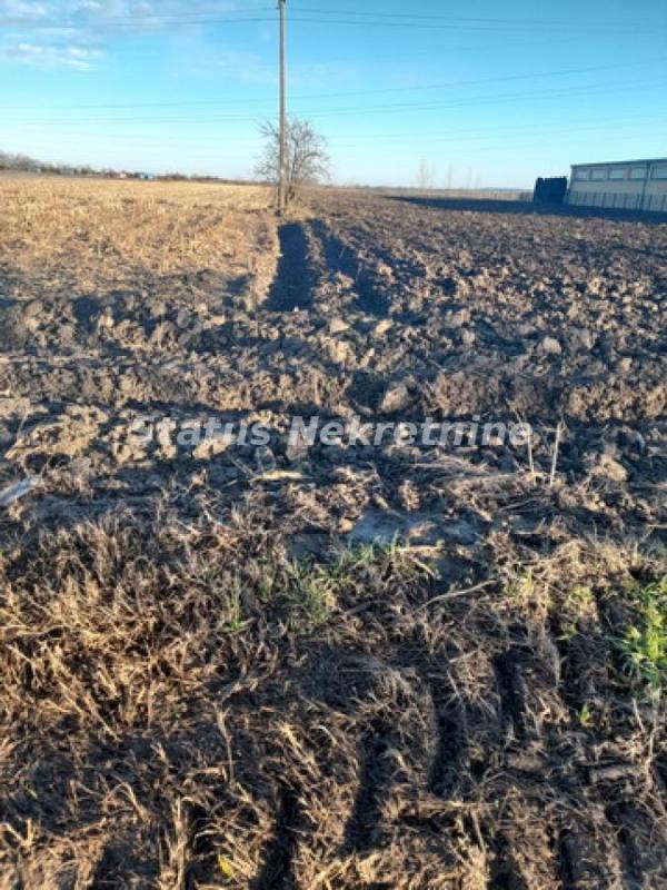 Slika 4 -  Plac na prodaju, Futog, , 498.500€