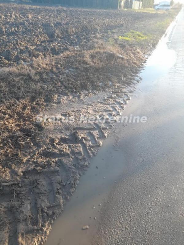 Slika 5 -  Plac na prodaju, Futog, , 498.500€