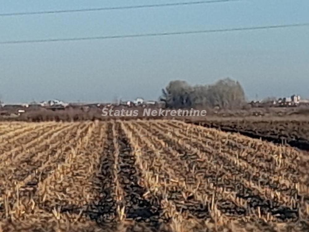 Slika 7 -  Plac na prodaju, Futog, , 498.500€