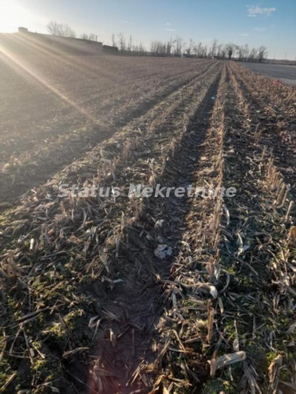 Slika 8 -  Plac na prodaju, Futog, , 498.500€