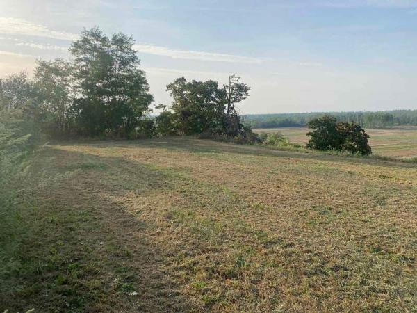 Slika 2 -  Plac na prodaju, Rakovac, 82.400€