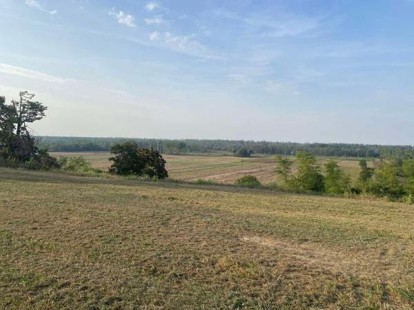 Glavna slika - Plac na prodaju, Rakovac, 82.400€