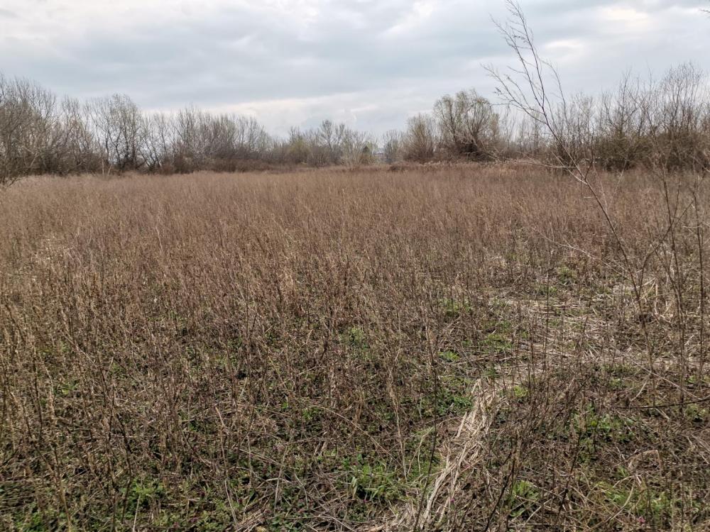 Slika 5 -  Plac na prodaju, Klisa, 248.580€