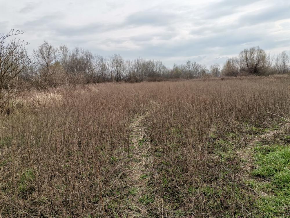 Slika 3 -  Plac na prodaju, Klisa, 248.580€