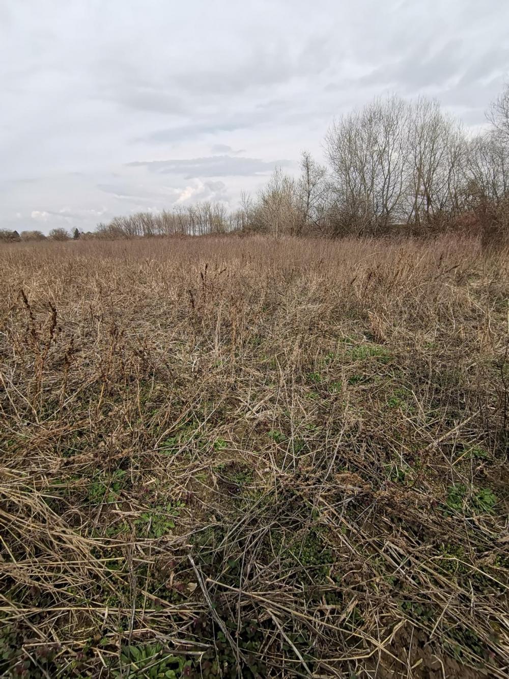 Slika 1 -  Plac na prodaju, Klisa, 248.580€