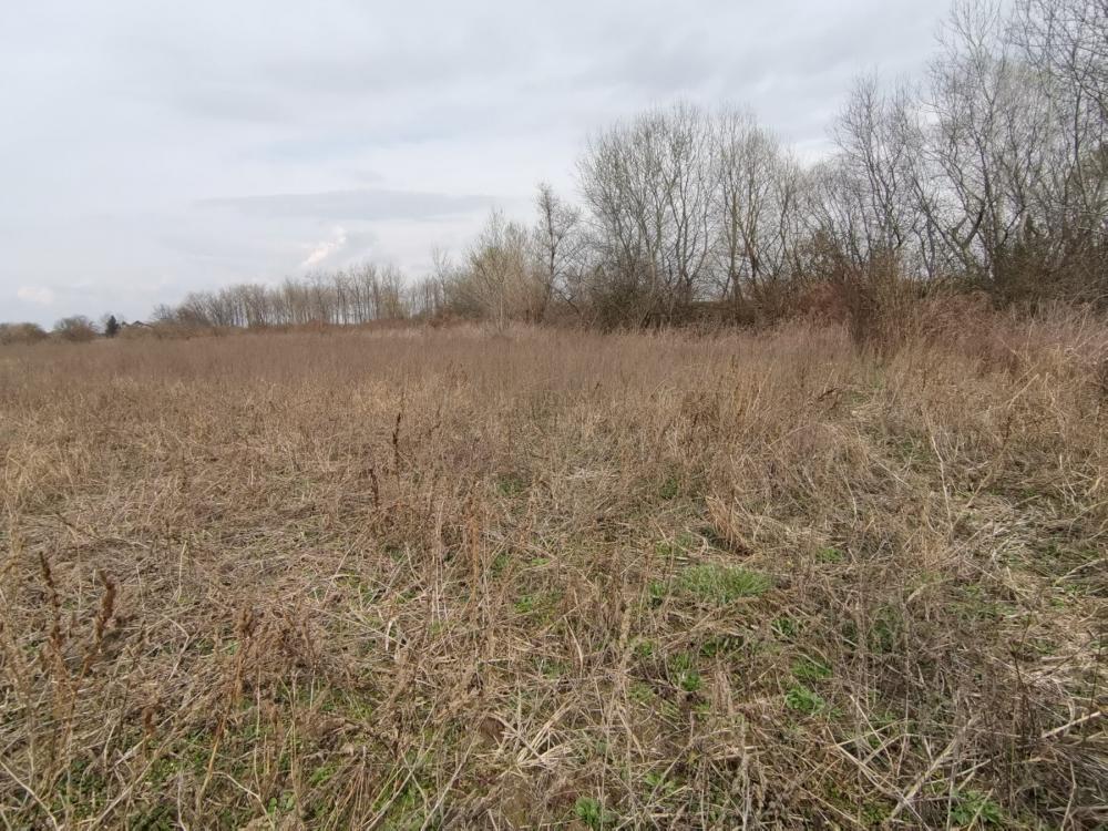 Glavna slika - Plac na prodaju, Klisa, 248.580€